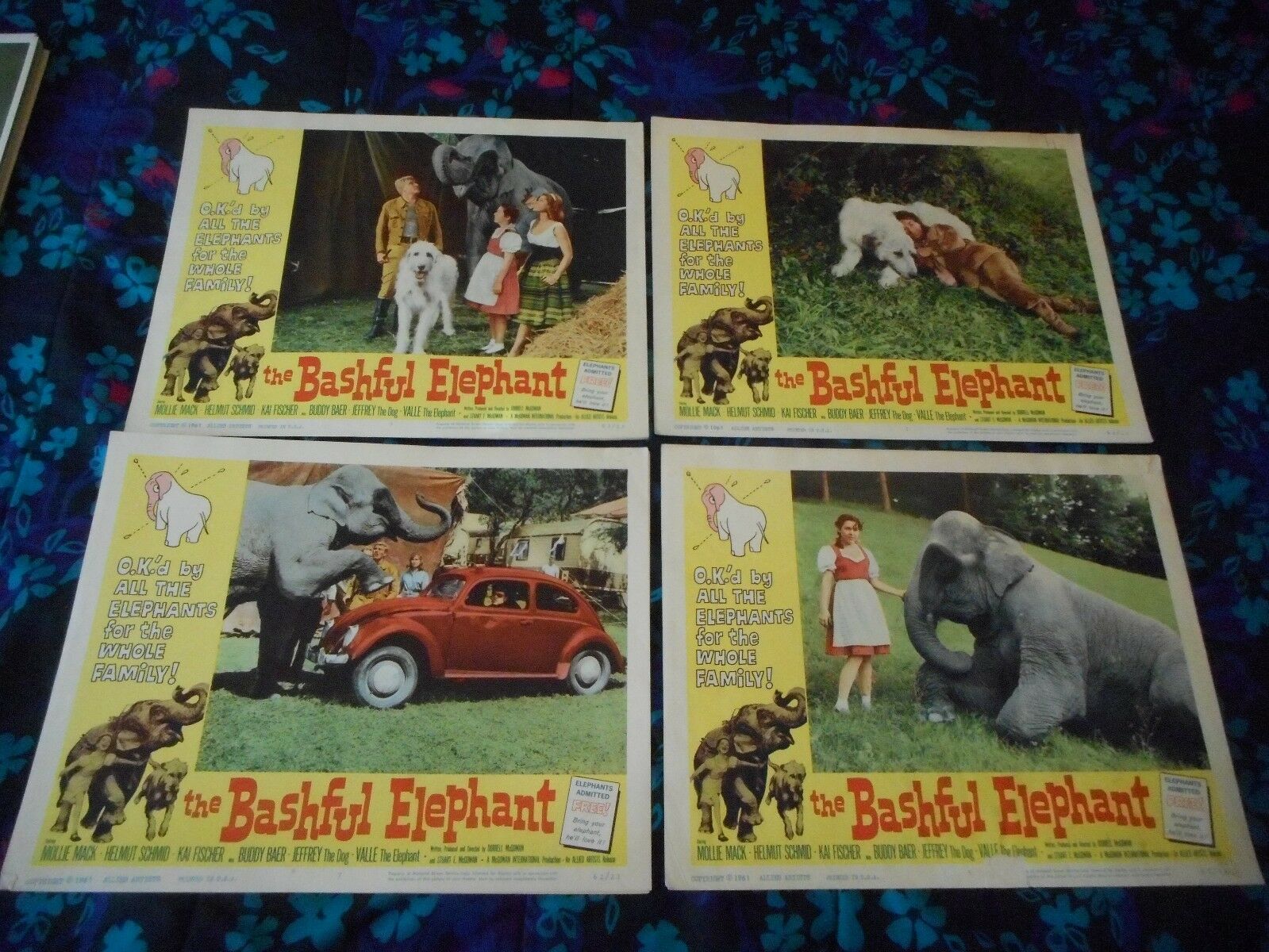 The Bashful Elephant - Original Set Of 8 Lobby Cards - 1962